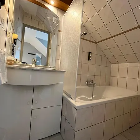 Hotel Logis & Restaurant - Le Floride Laning